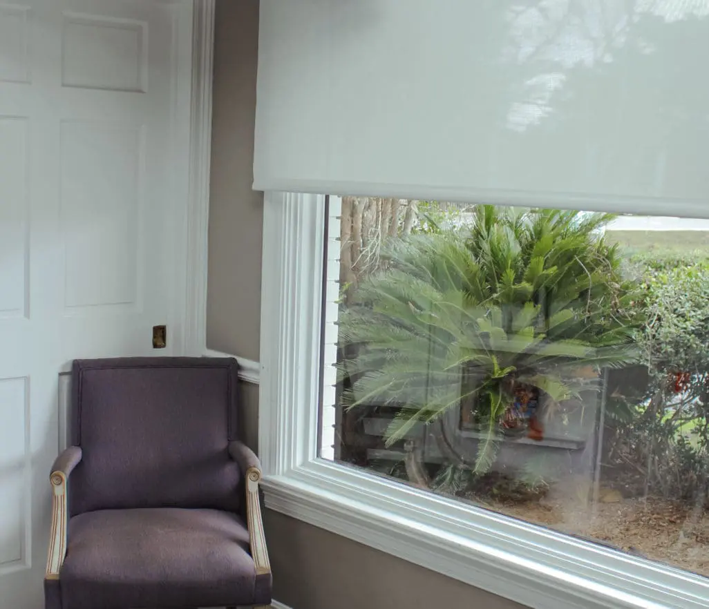 Wild Smiles Pediatric Dentistry - Interior Office